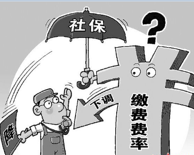 企业社保费率将阶段性下调 个人待遇不会降